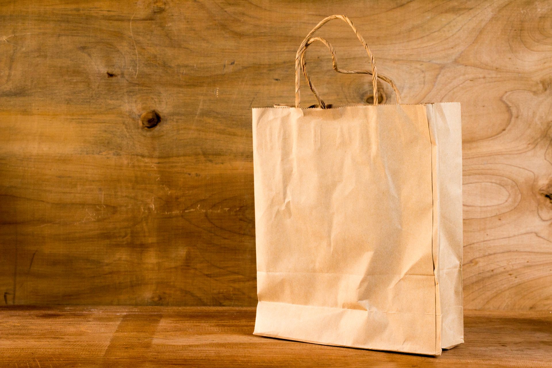 Paper Carry Bags
